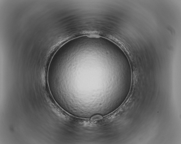 X0000113010345200909031318