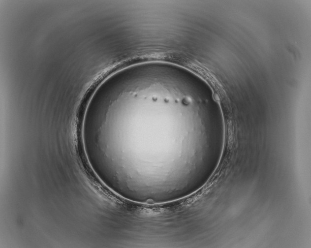 X0000113010346200909031318