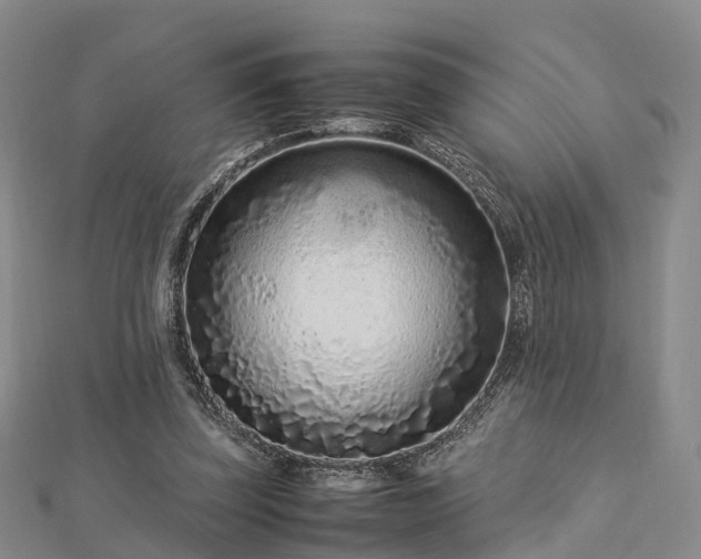 X0000113010347200909031318