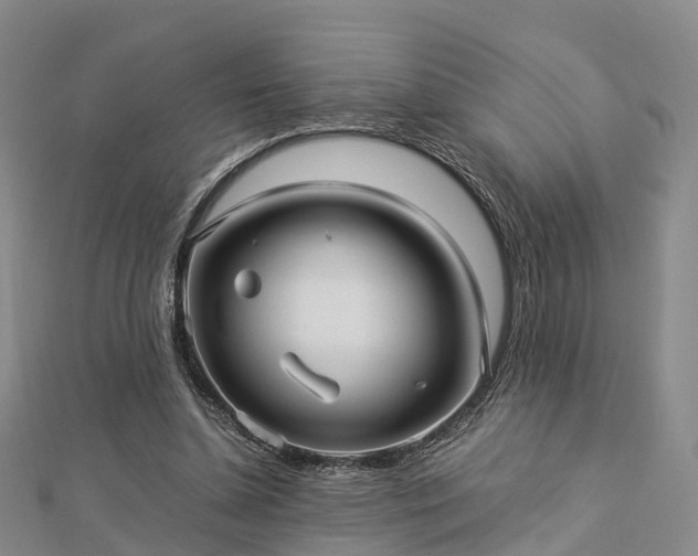 X0000113010348200909031318