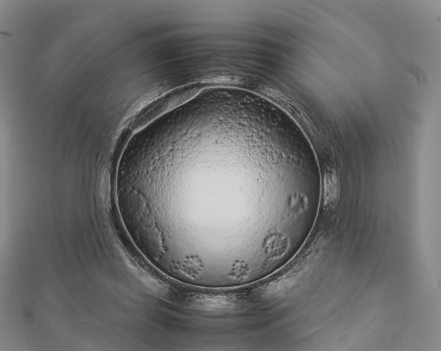 X0000113010349200909031318