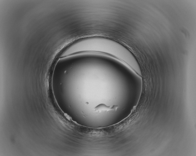 X0000113010350200909031318