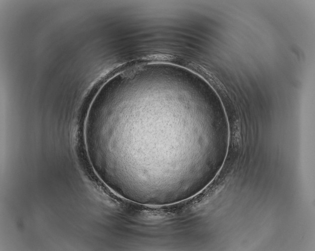 X0000113010351200909031318