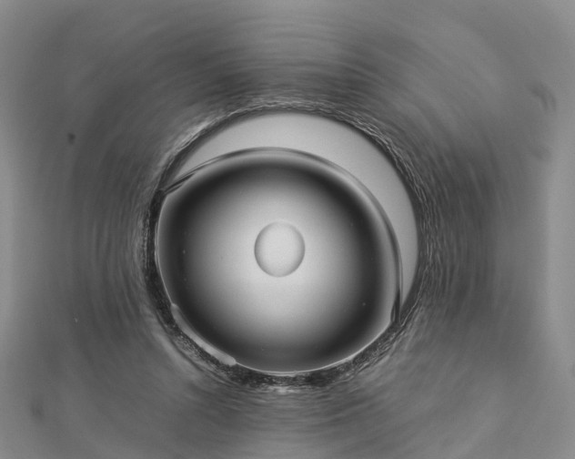 X0000113010352200909031318