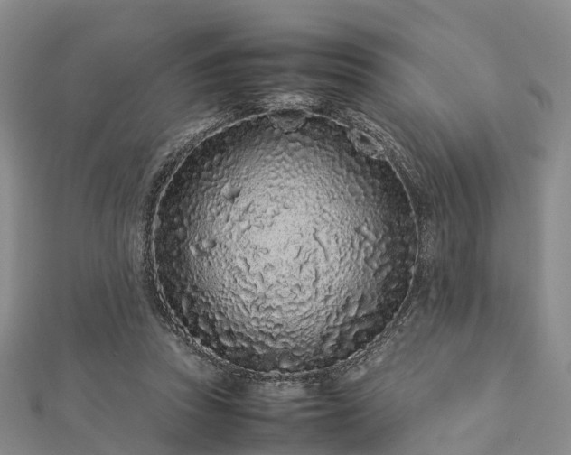 X0000113010353200909031318