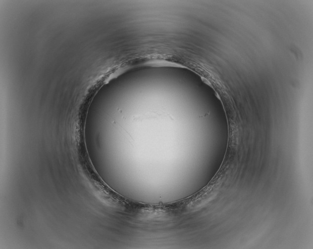 X0000113010354200909031318