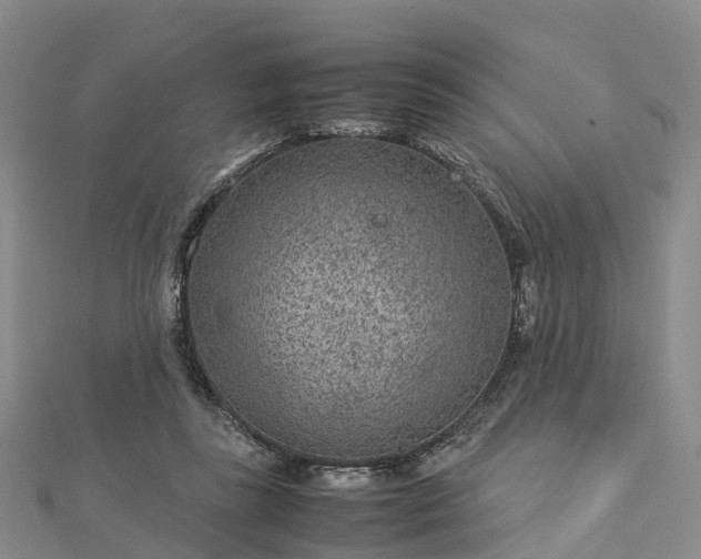 X0000113010355200909031318