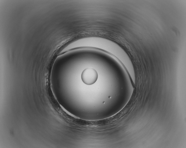 X0000113010356200909031318