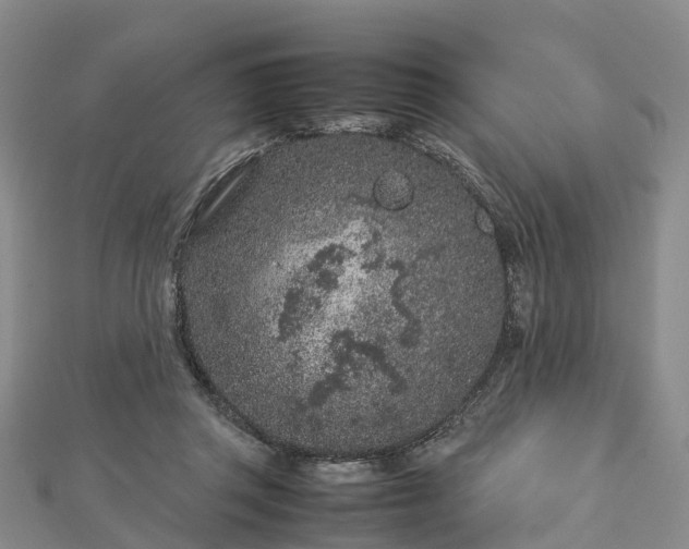 X0000113010357200909031318