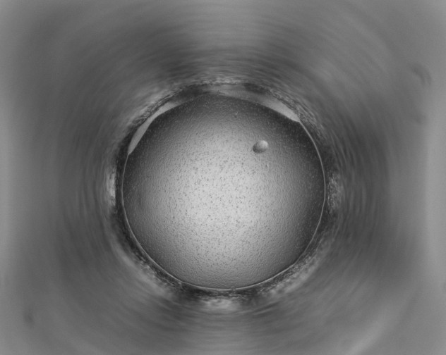 X0000113010358200909031318