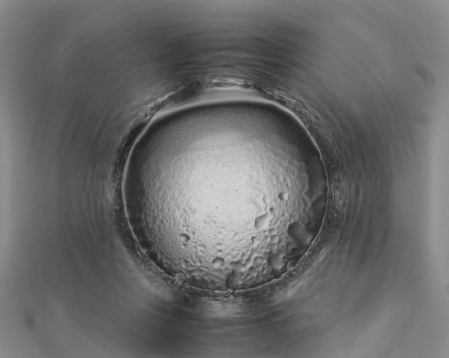 X0000113010359200909031318