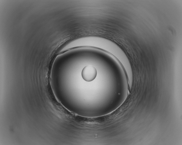 X0000113010360200909031318