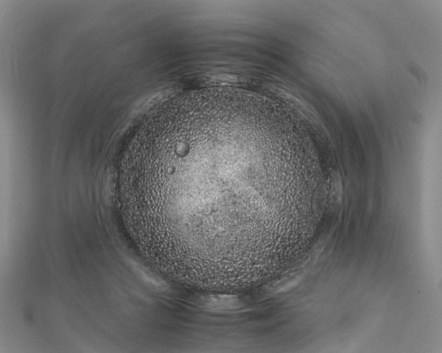 X0000113010361200909031318