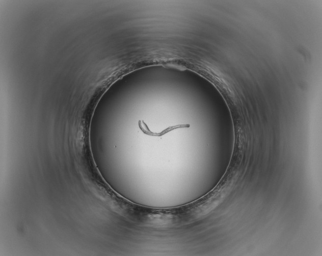 X0000113010362200909031318