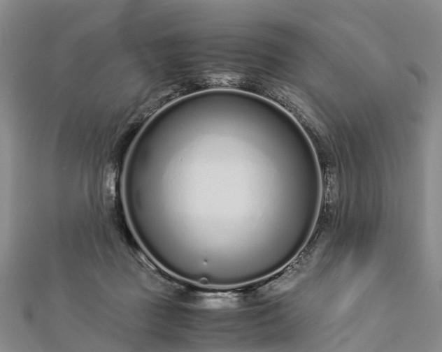 X0000113010363200909031318