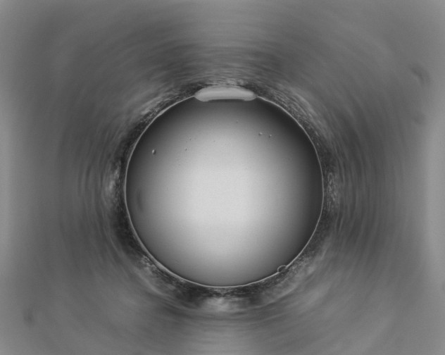 X0000113010364200909031318