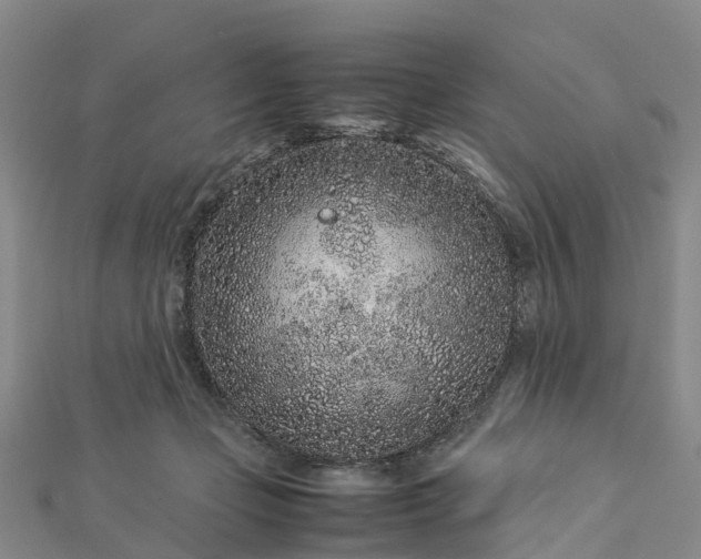 X0000113010365200909031318