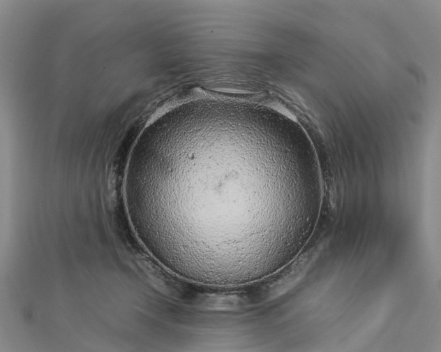 X0000113010366200909031319