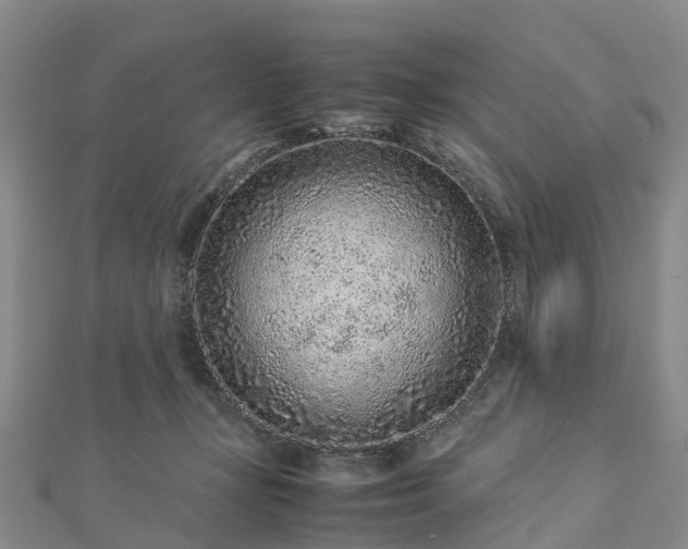 X0000113010367200909031319