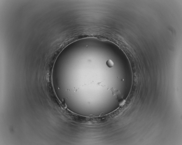 X0000113010368200909031319