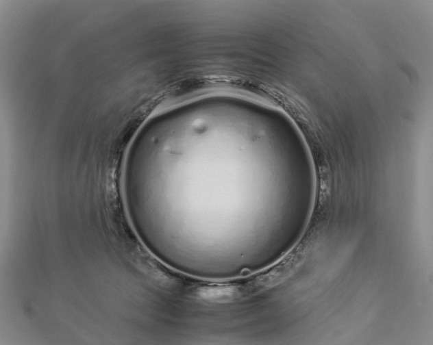 X0000113010369200909031319