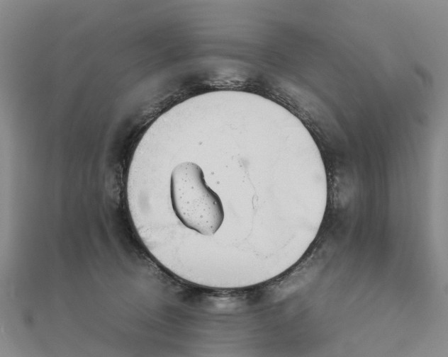 X0000113010370200909031319