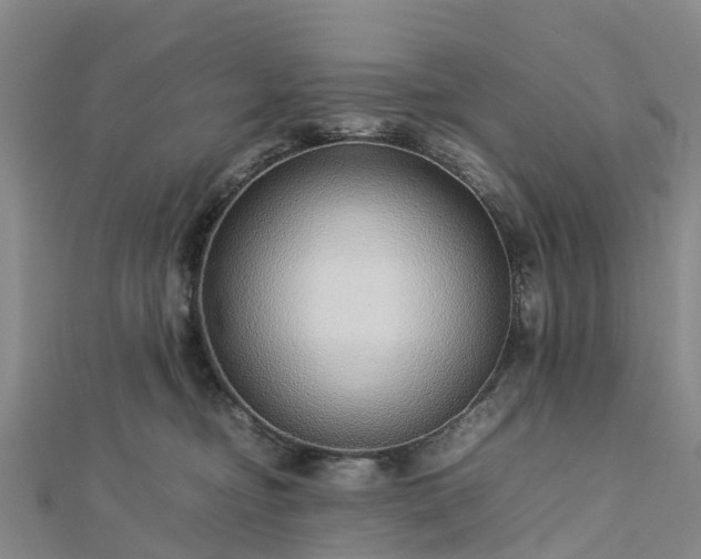 X0000113010374200909031319