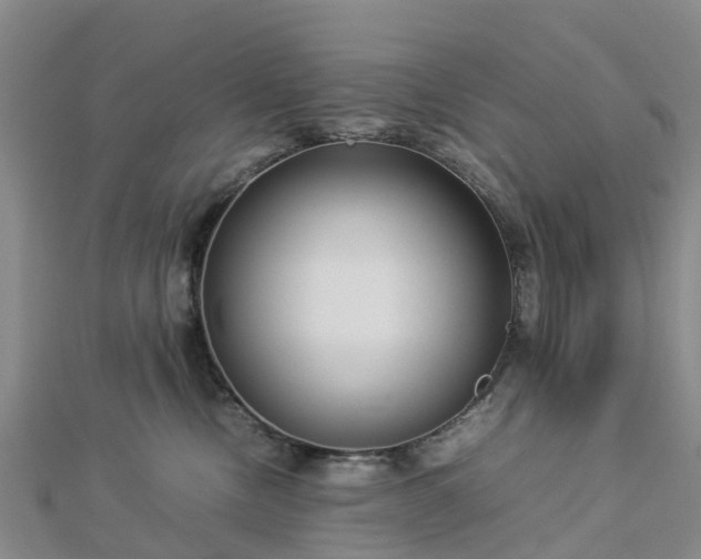 X0000113010378200909031319