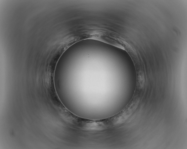 X0000113010379200909031319