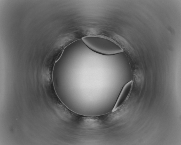 X0000113010380200909031319