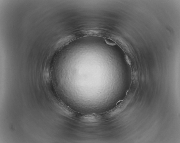 X0000113010381200909031319