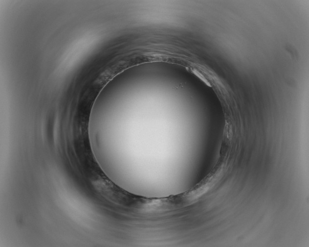 X0000113010382200909031319