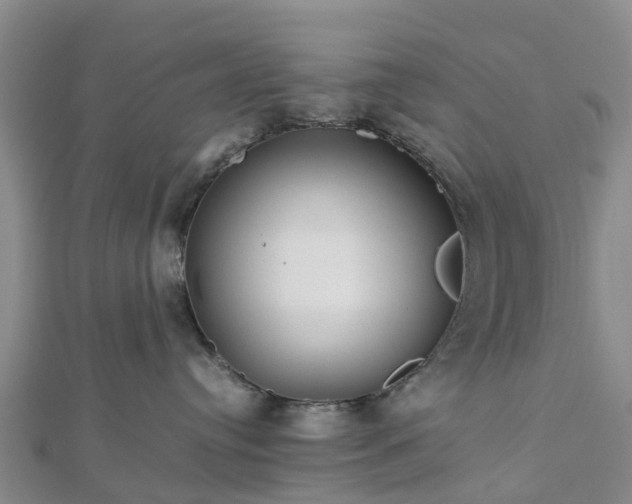 X0000113010384200909031319