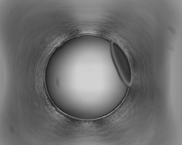 X0000113010385200909031318