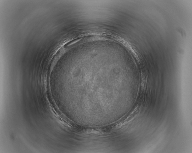 X0000113010386200909031318