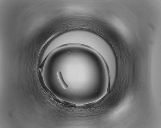 X0000113010387200909031318