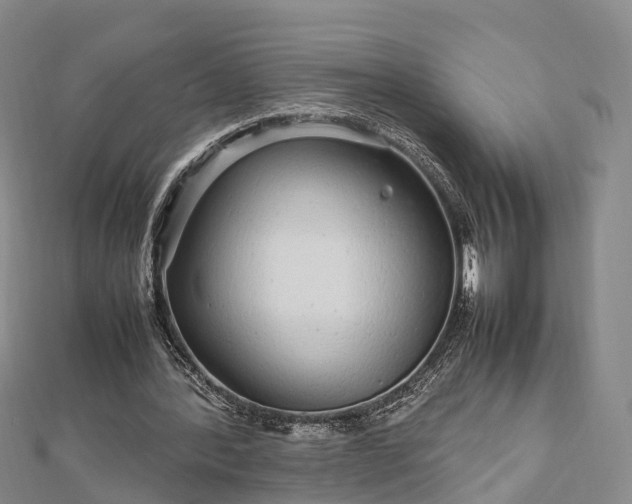 X0000113010388200909031318