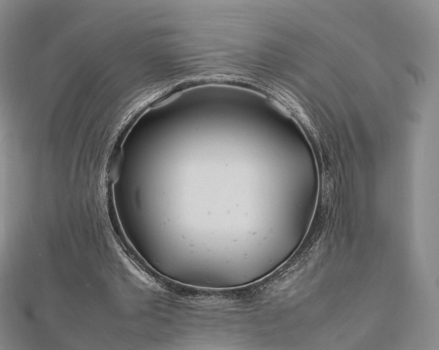 X0000113010389200909031318