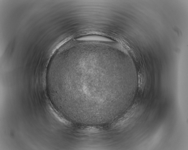 X0000113010390200909031318