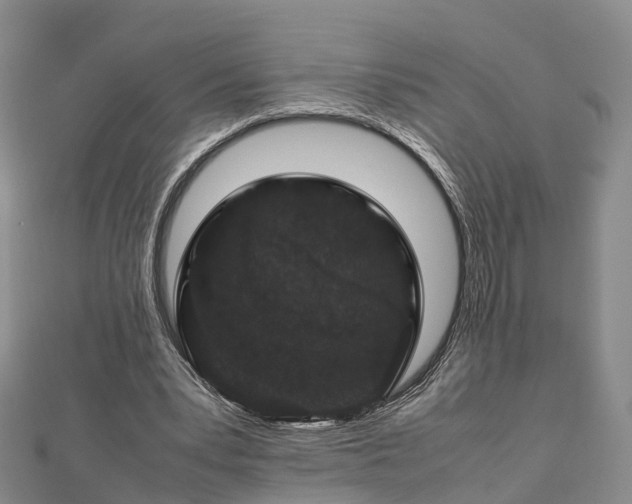 X0000113010391200909031318