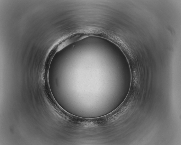 X0000113010392200909031318