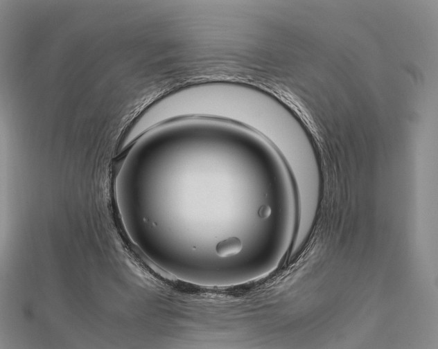 X0000113010393200909031318