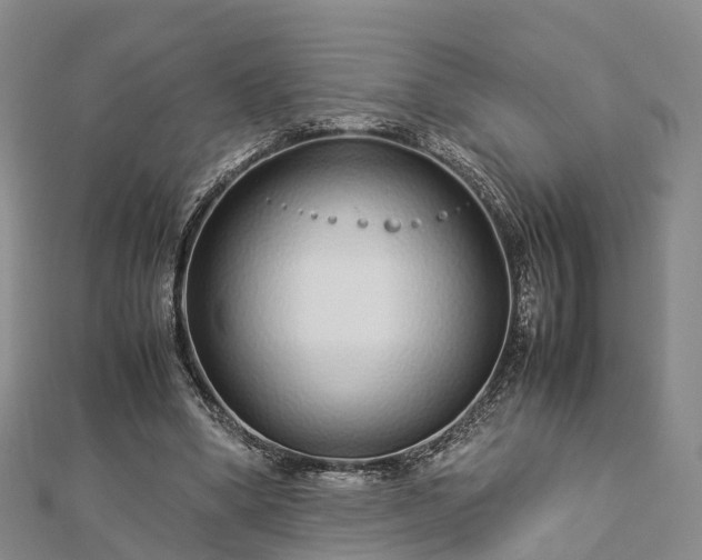 X0000113010394200909031318