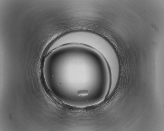 X0000113010395200909031318