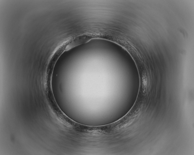 X0000113010396200909031318