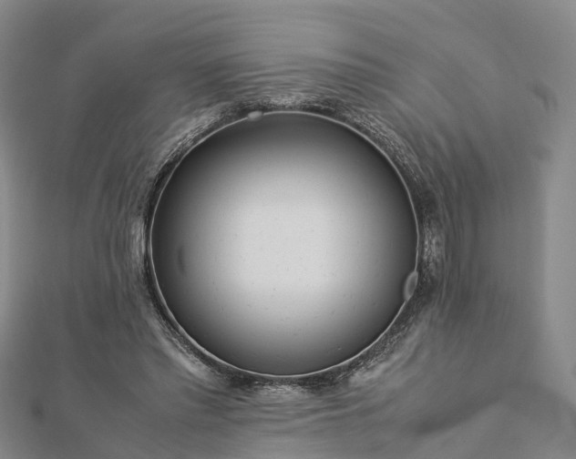 X0000113010397200909031318