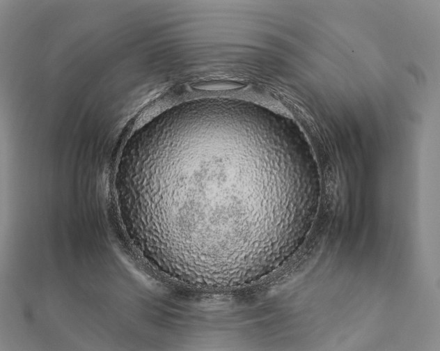 X0000113010398200909031318