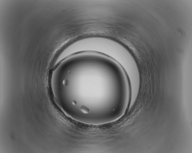 X0000113010399200909031318