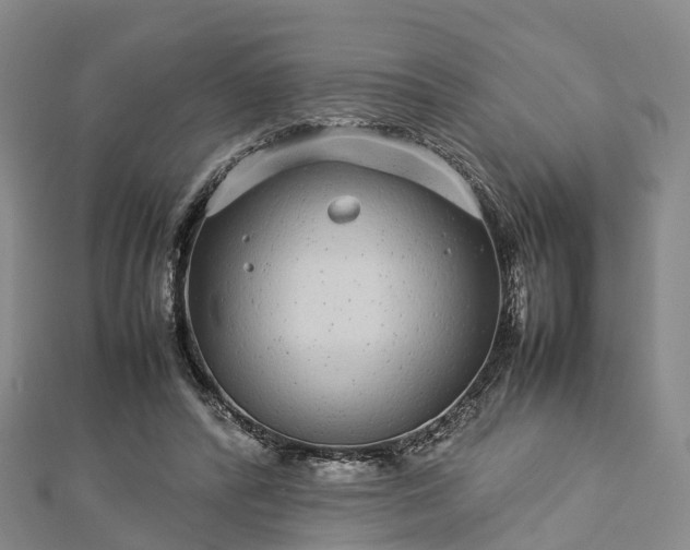 X0000113010400200909031318