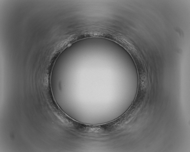 X0000113010401200909031318